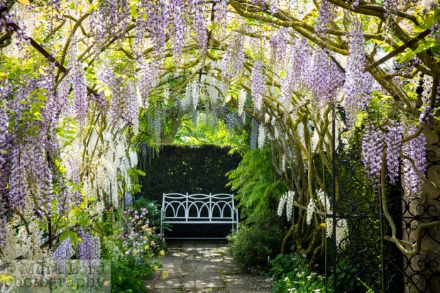 TW-Waterperry May 2015-ML015_003