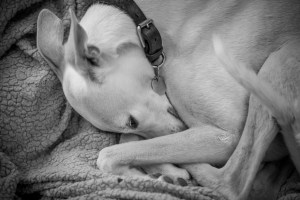 G&GSept2015-LORD1781_001