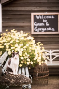 G&GSept2015-LORD1908_051