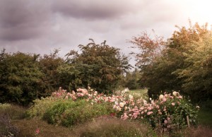 G&GSept2015-LORD2302_203