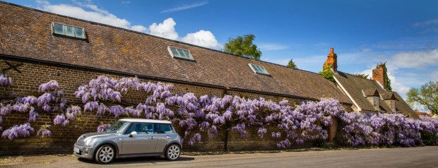 Garden Photography-IMG_2030_001