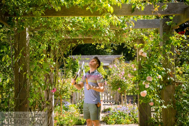 garden-photographer-053